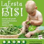 2013 bisi